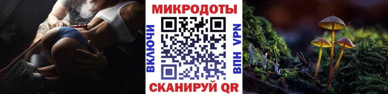 где купить наркоту  Красноармейск  Псилоцибиновые грибы прущие грибы 