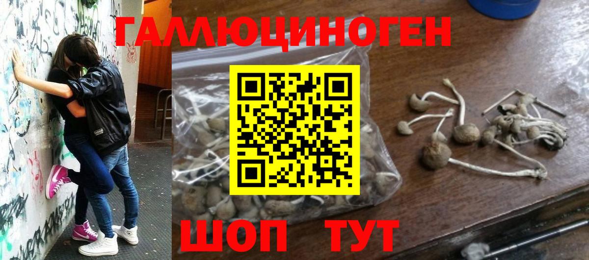Галлюциногенные грибы MAGIC MUSHROOMS Красноармейск