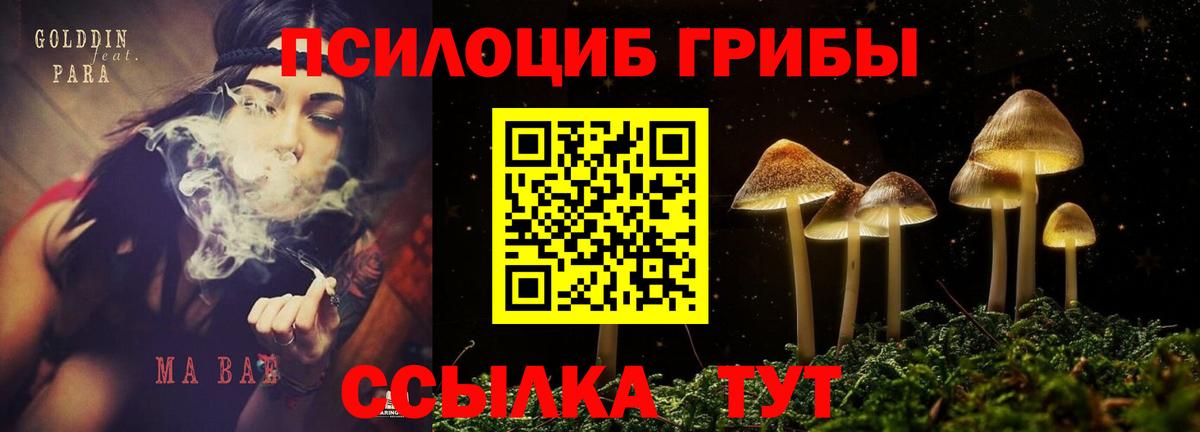 Галлюциногенные грибы мухоморы  Вход с VPN  Красноармейск 