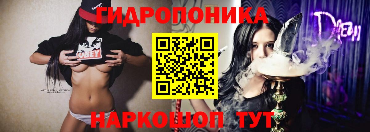 Бошки Шишки план Красноармейск